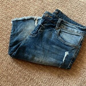 KUT from the kloth Bermuda shorts